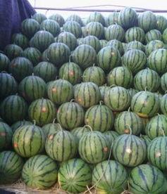 保定清苑最新吃瓜爆料,揭秘神秘事件背后的真相  第3张